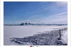 Unterdießen
