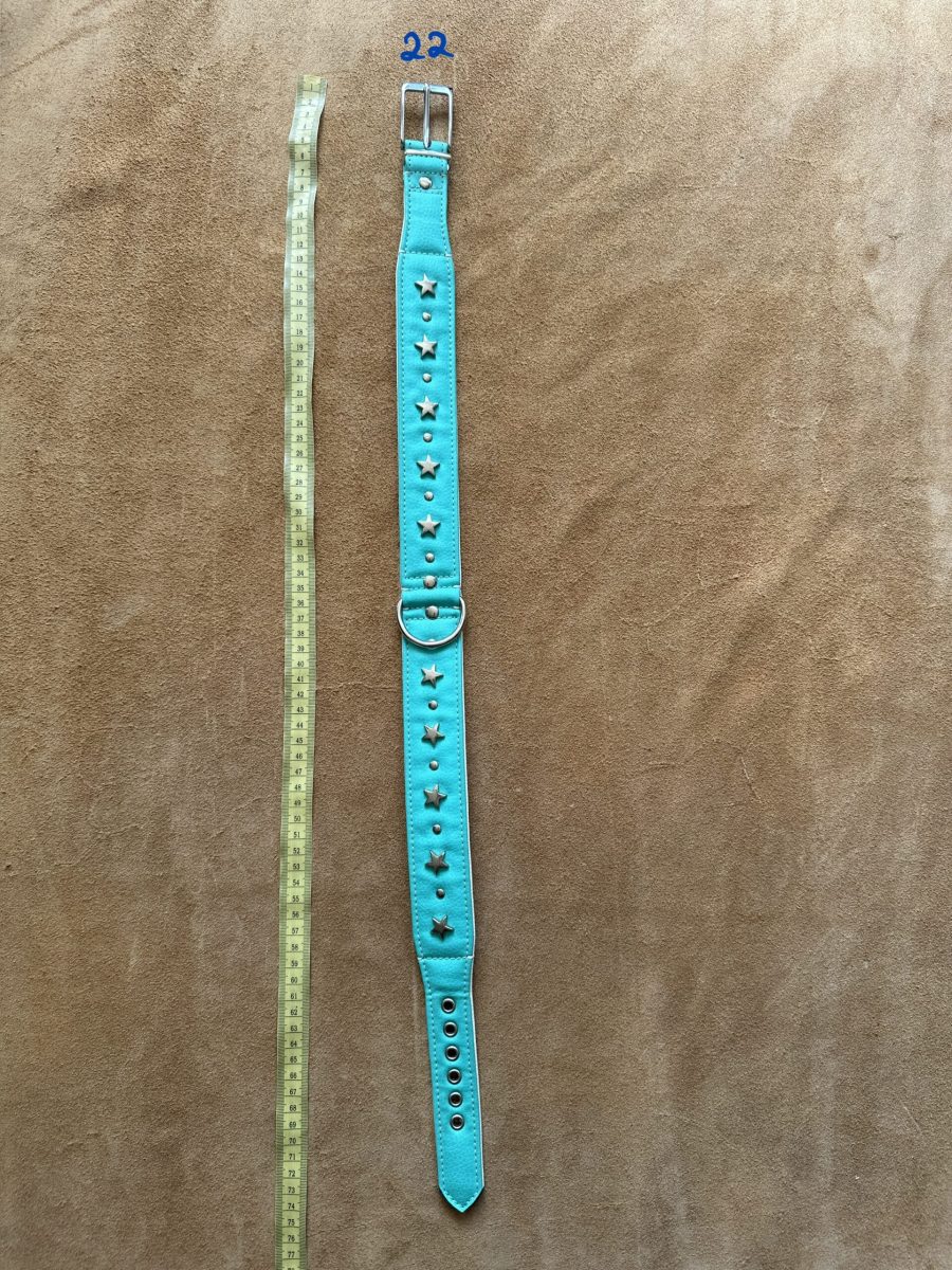 Halsband 22