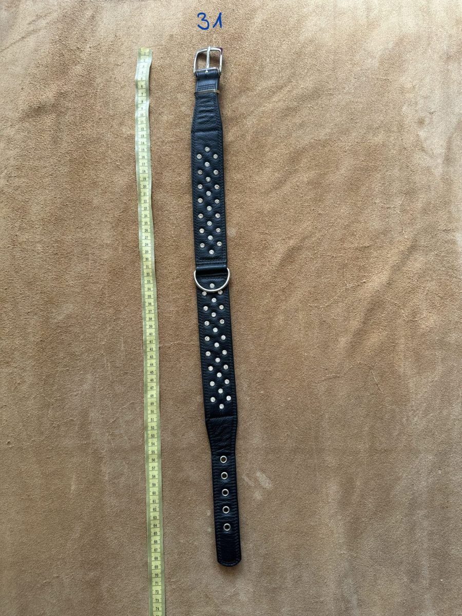 Halsband 31