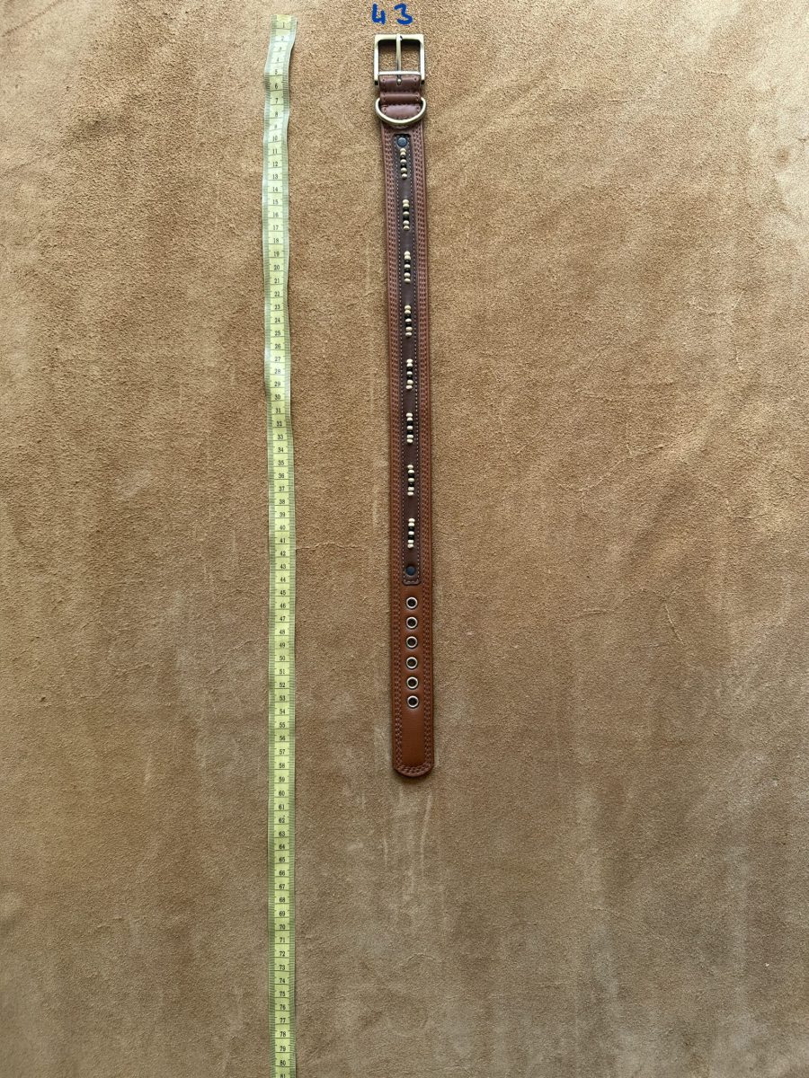Halsband 43