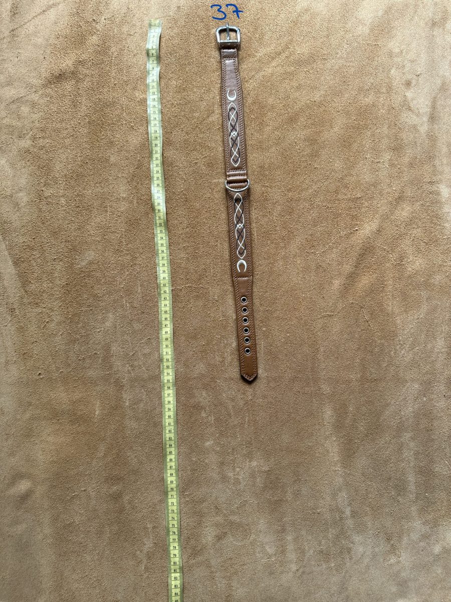 Halsband 37