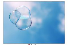 Seifenblase