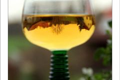 Wein